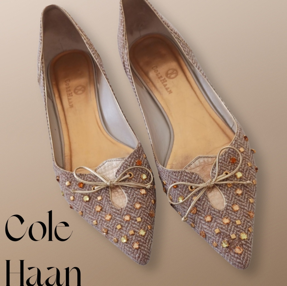 Cole Haan Gypsy skimmer pointed toe ballet flats size 8 1/2